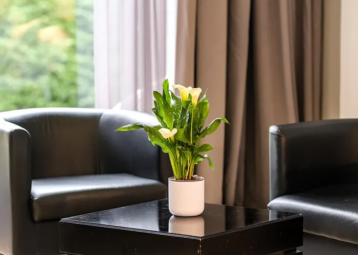 Indiana Boutique Hotel 4*