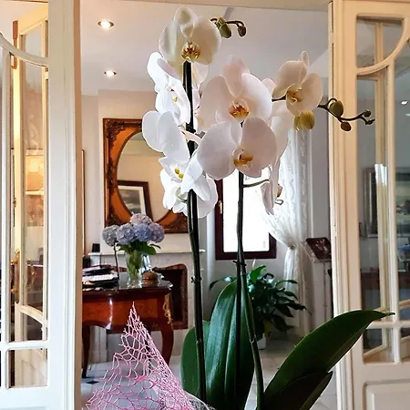 Indiana Boutique 4* Llanes