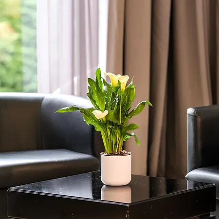 Indiana Boutique Hotel 4*